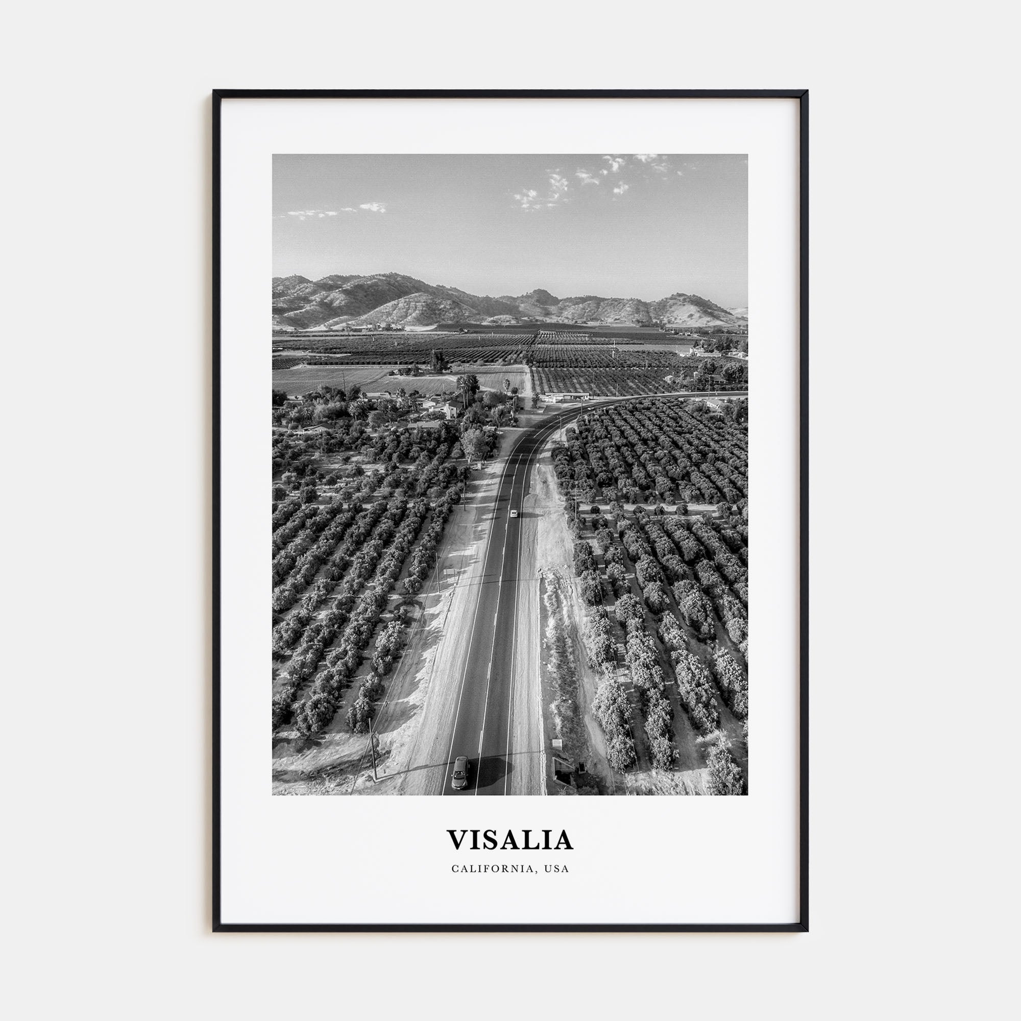 Visalia Portrait B&W Poster