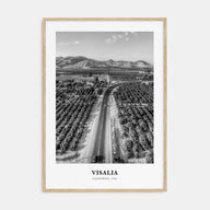 Visalia Portrait B&W Poster