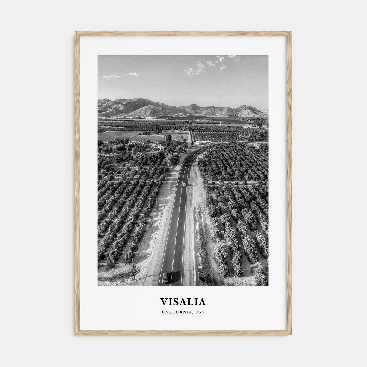 Visalia Portrait B&W Poster