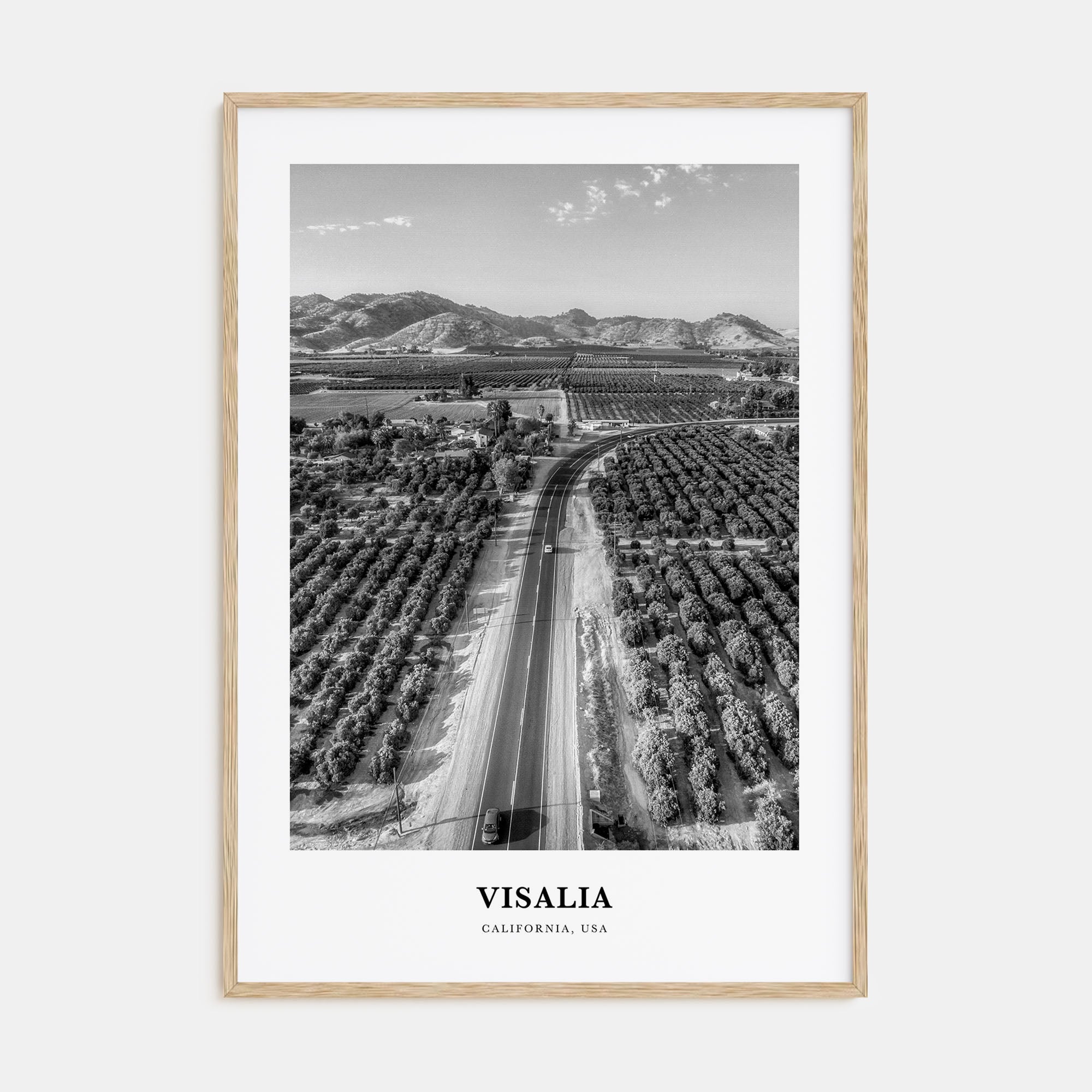 Visalia Portrait B&W Poster