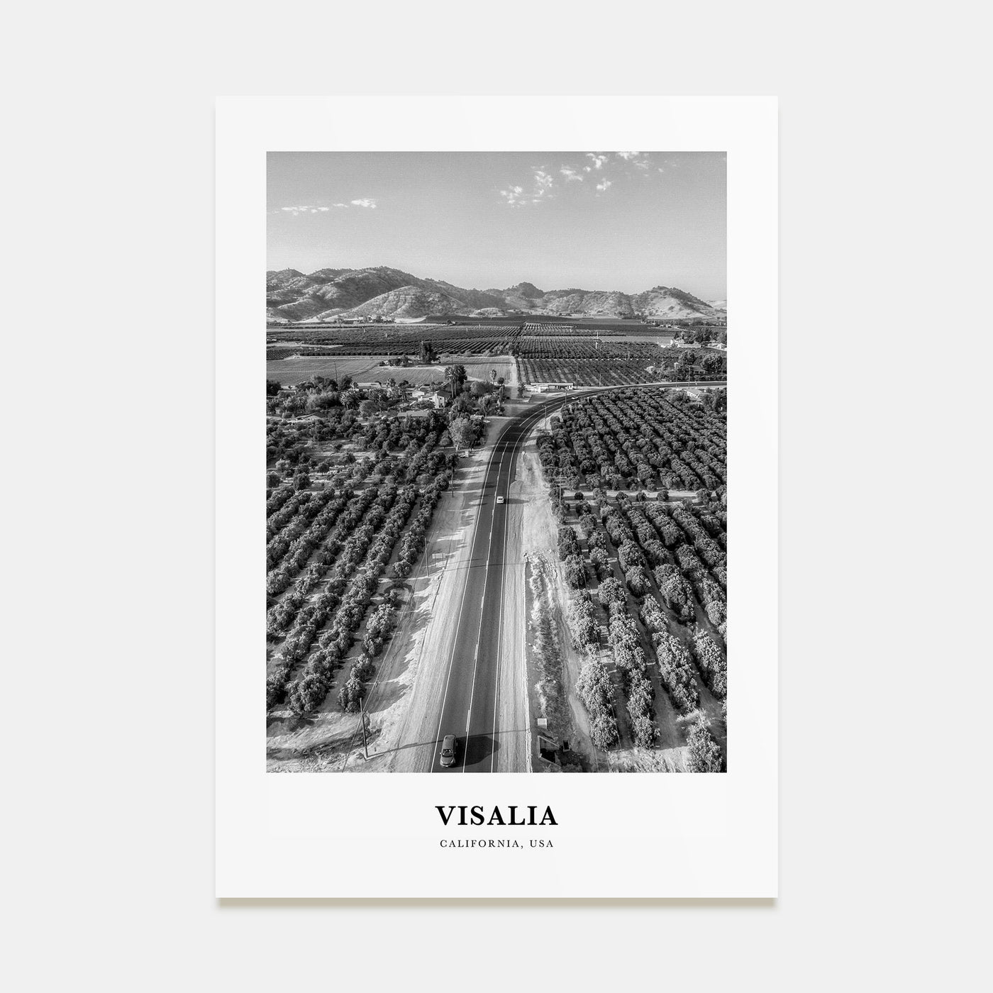 Visalia Portrait B&W Poster