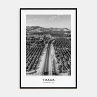 Visalia Portrait B&W Poster