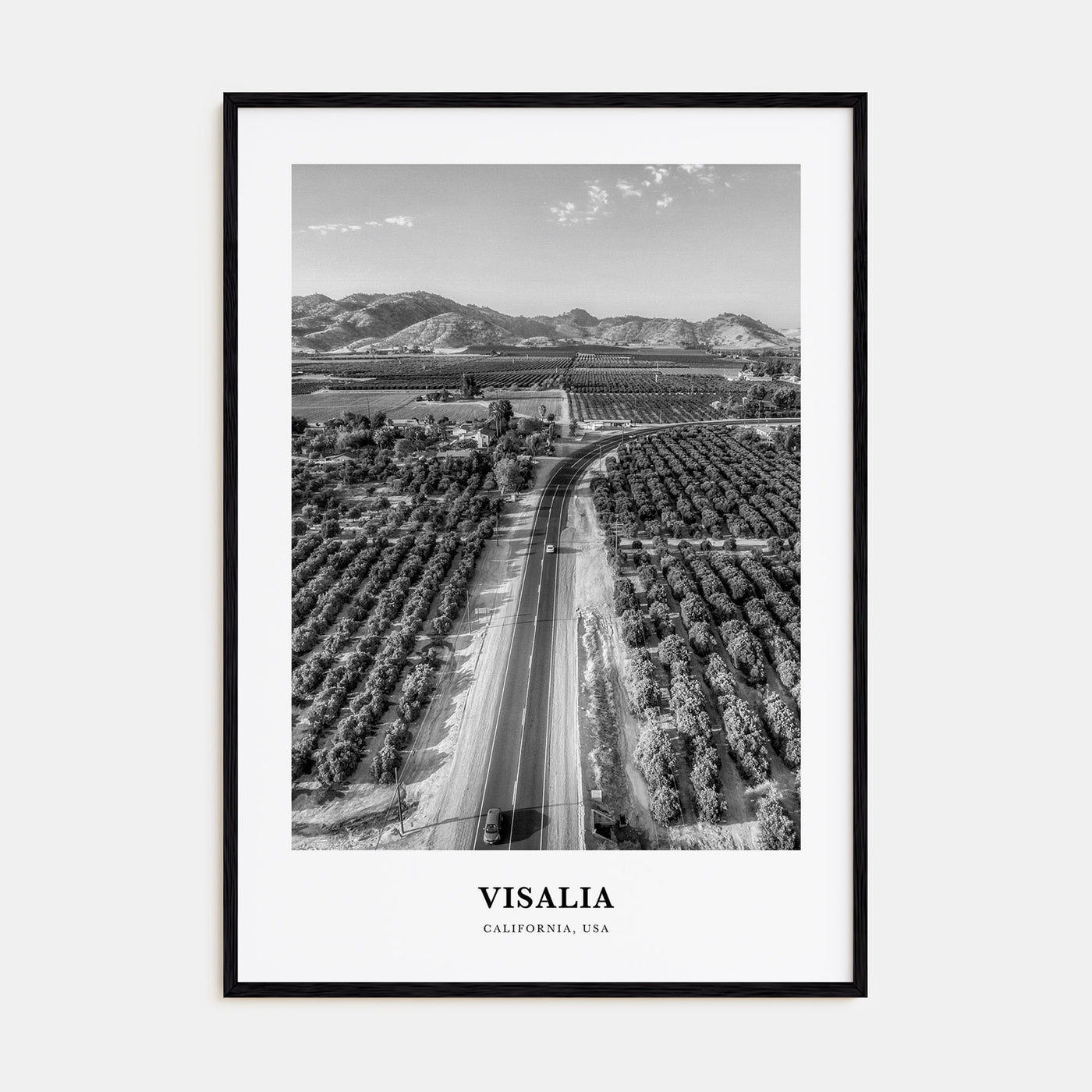 Visalia Portrait B&W Poster
