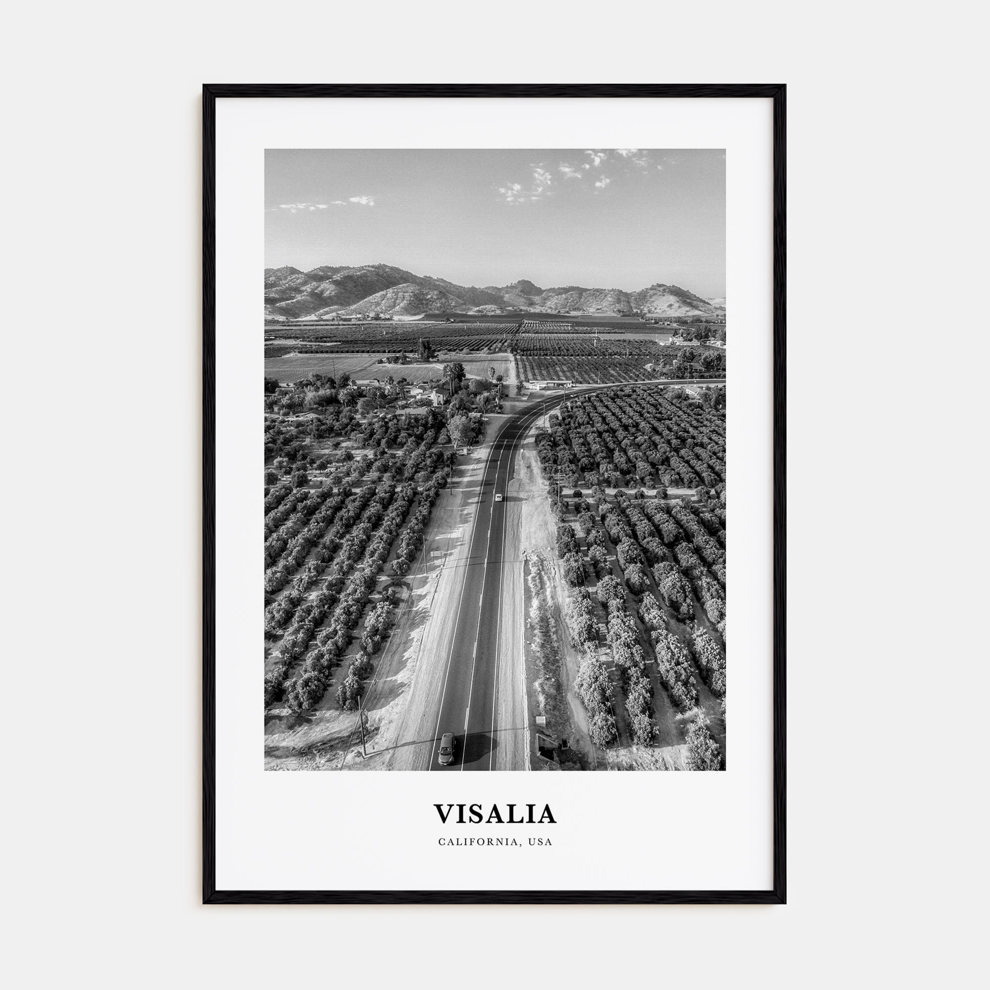 Visalia Portrait B&W Poster