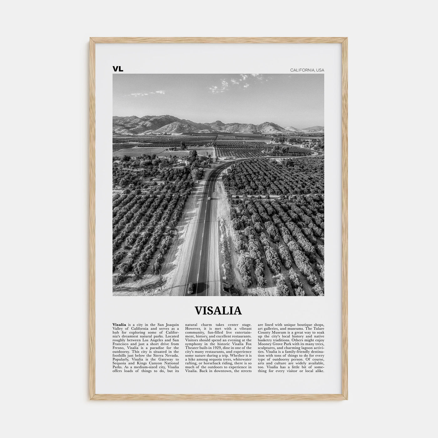 Visalia Travel B&W Poster