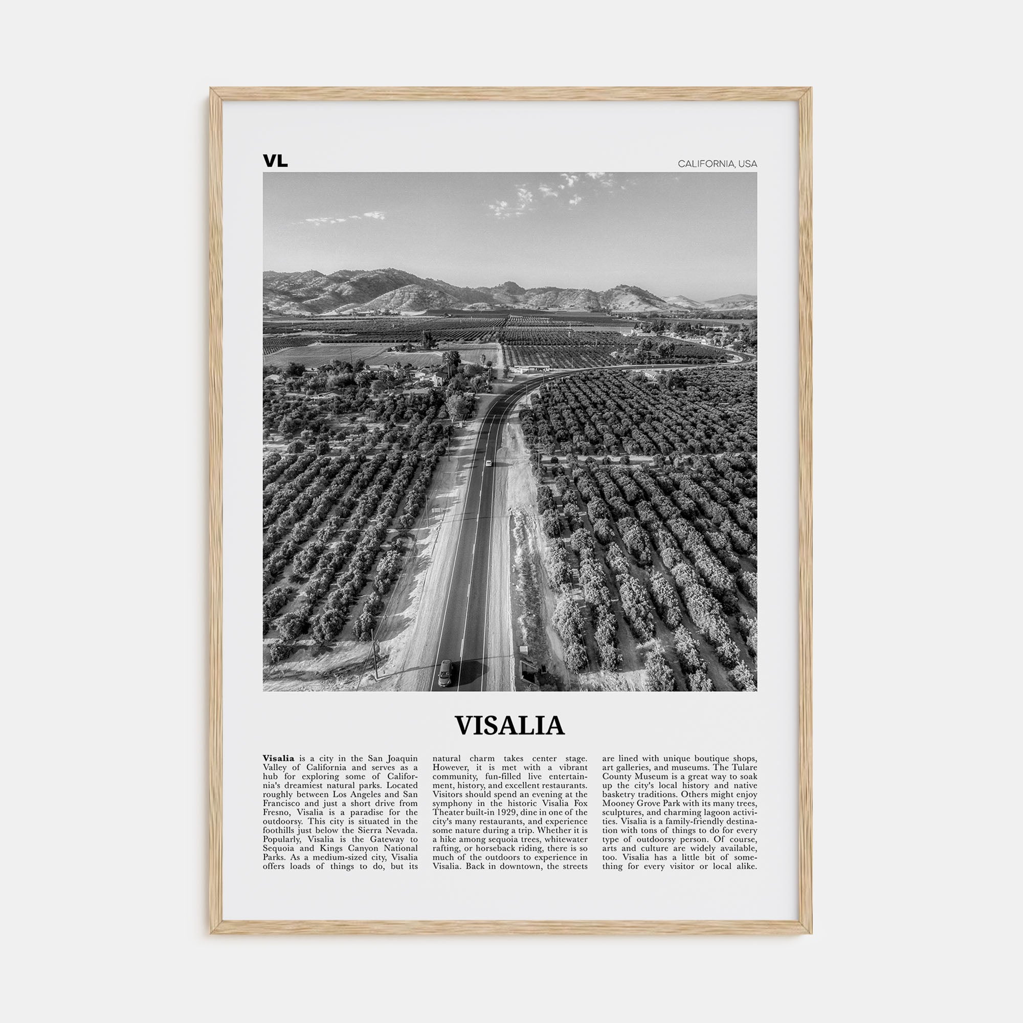 Visalia Travel B&W Poster
