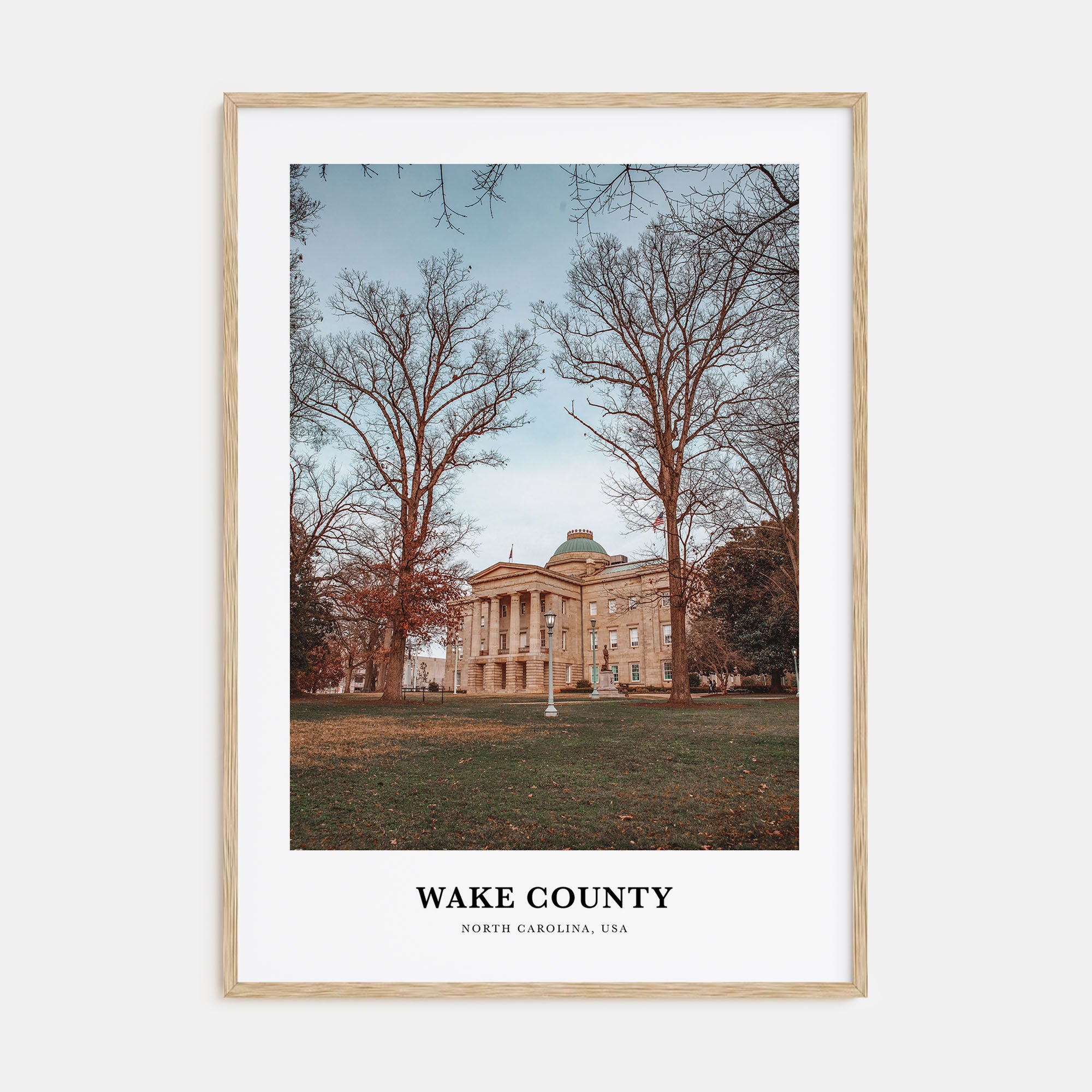 Wake County Portrait Color Poster