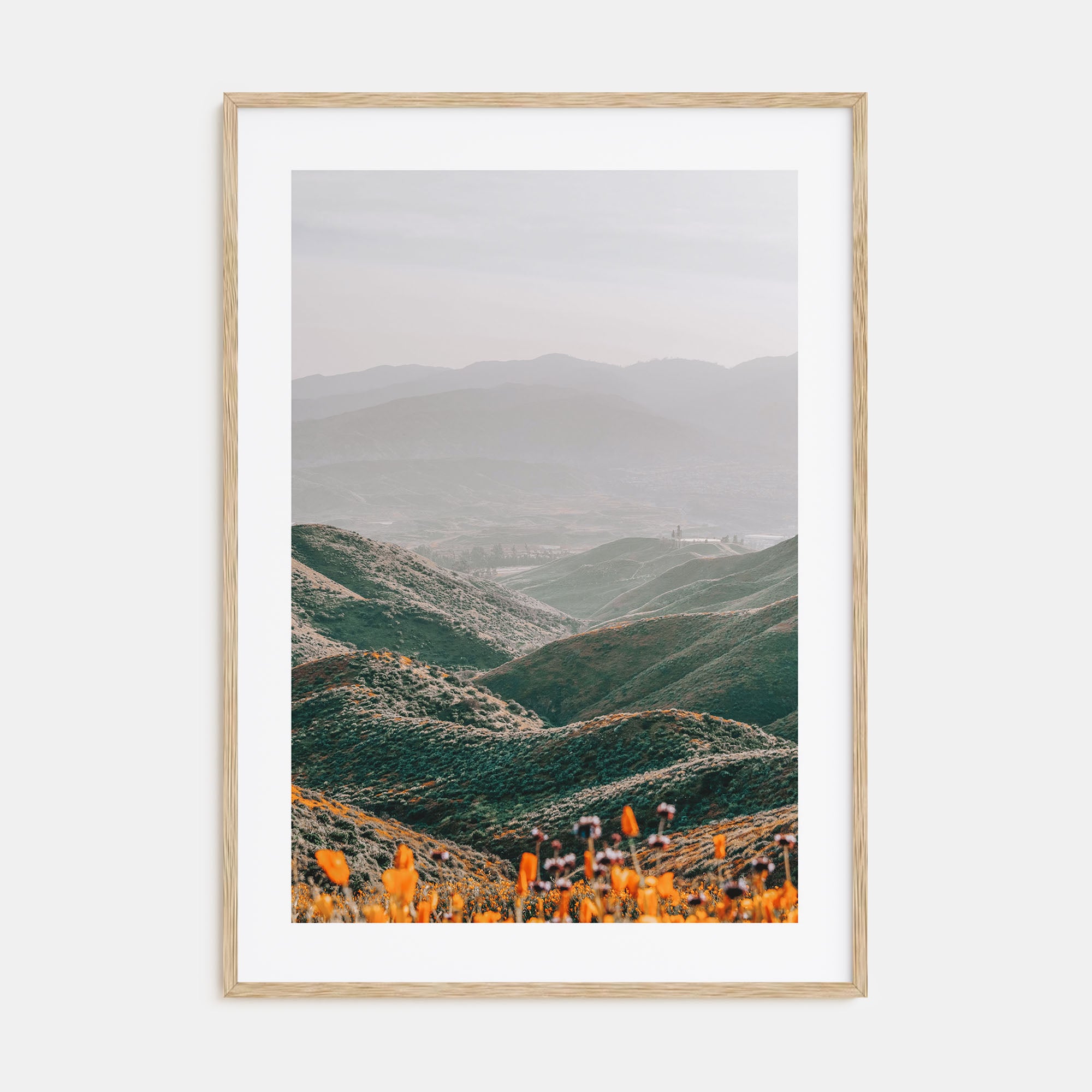Walker Canyon Photo Color Poster