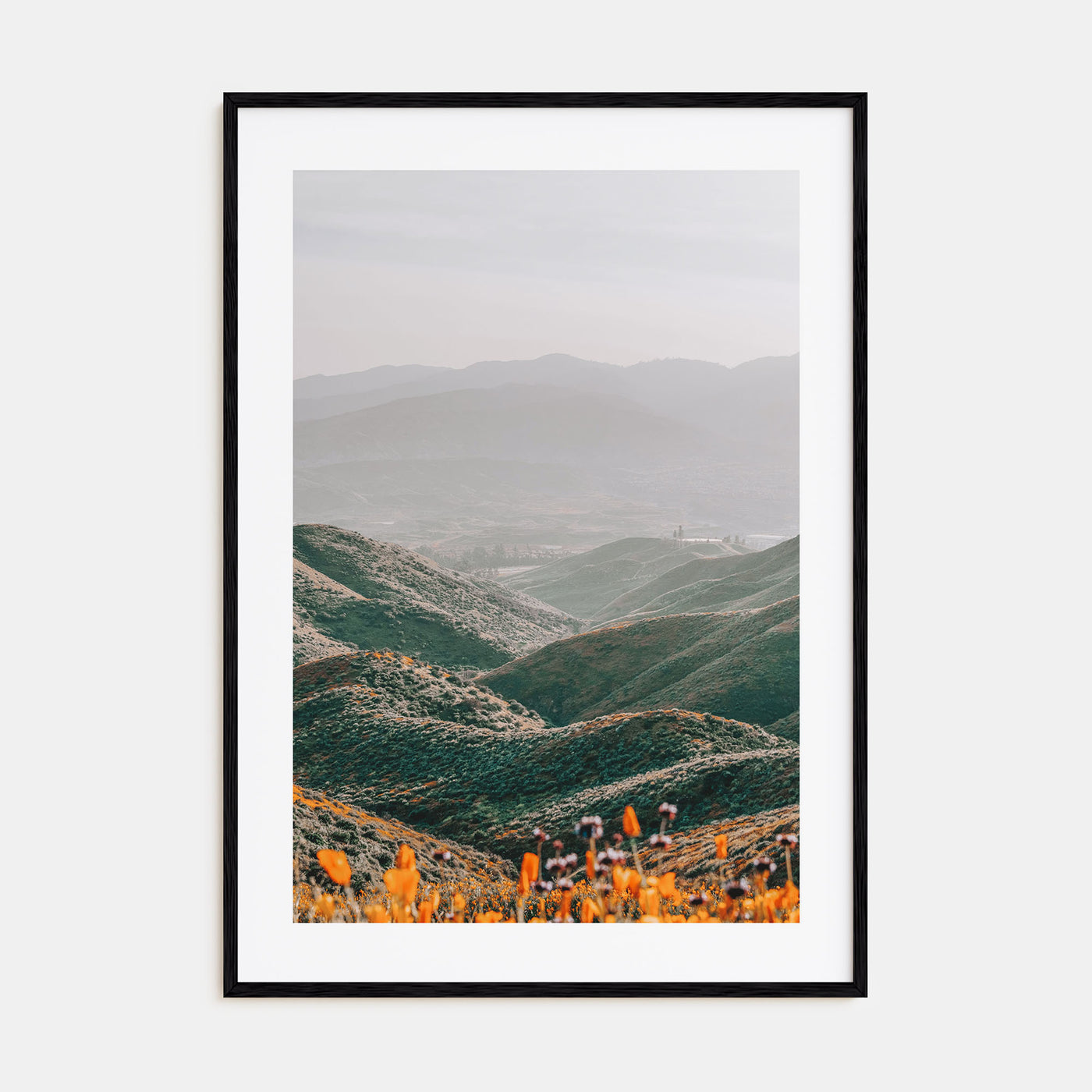 Walker Canyon Photo Color Poster