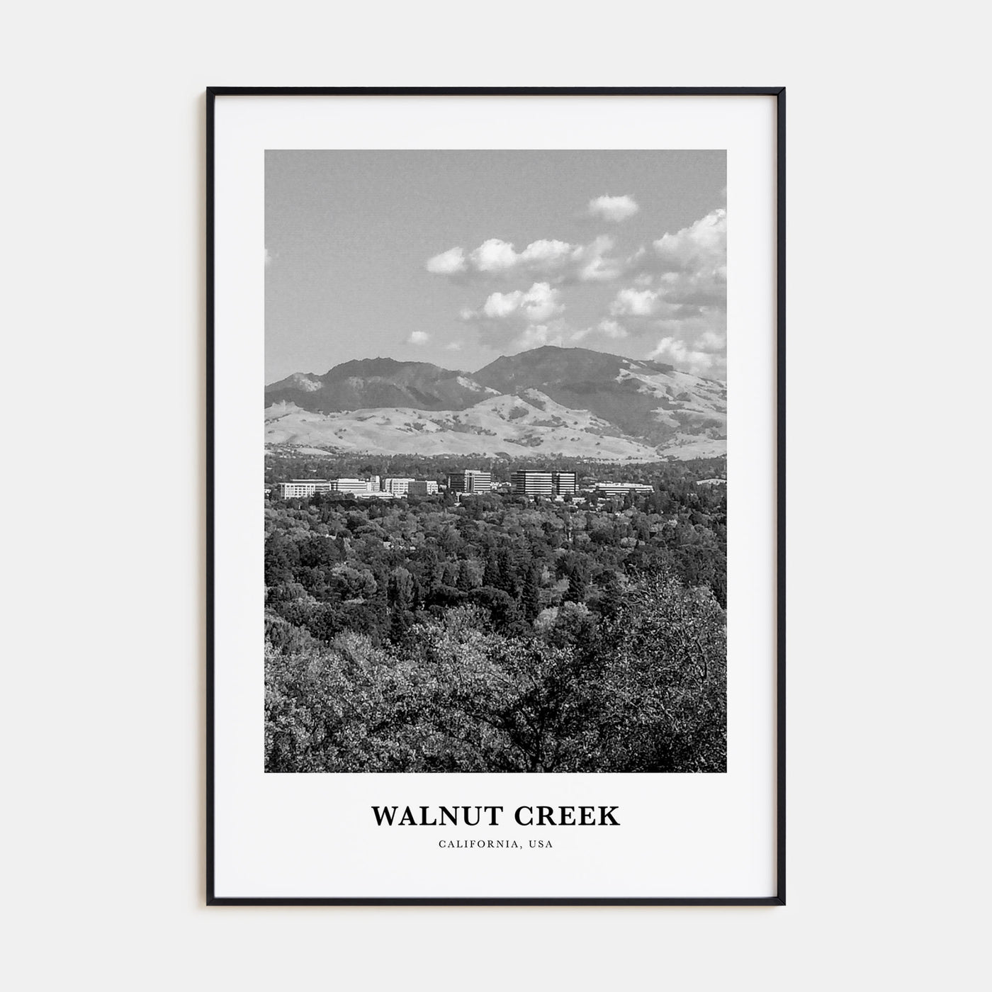 Walnut Creek Portrait B&W Poster