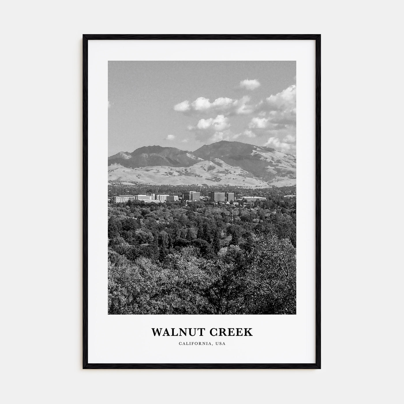 Walnut Creek Portrait B&W Poster