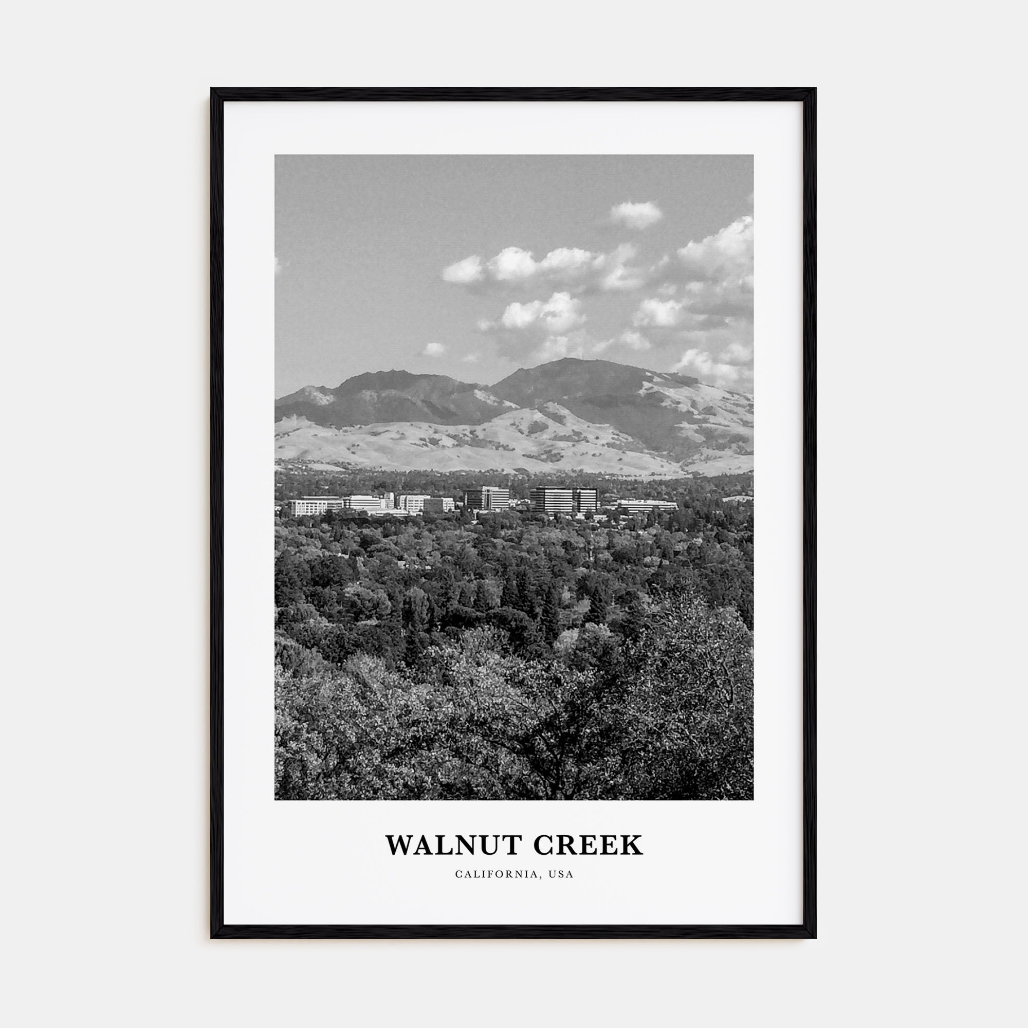 Walnut Creek Portrait B&W Poster