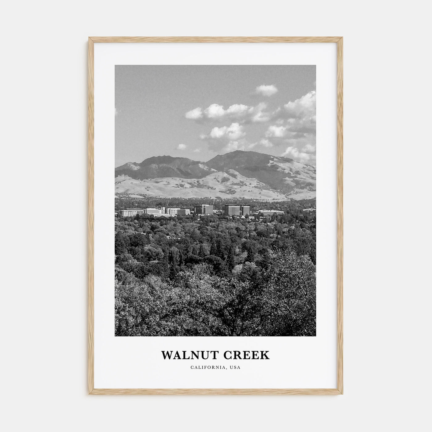 Walnut Creek Portrait B&W Poster