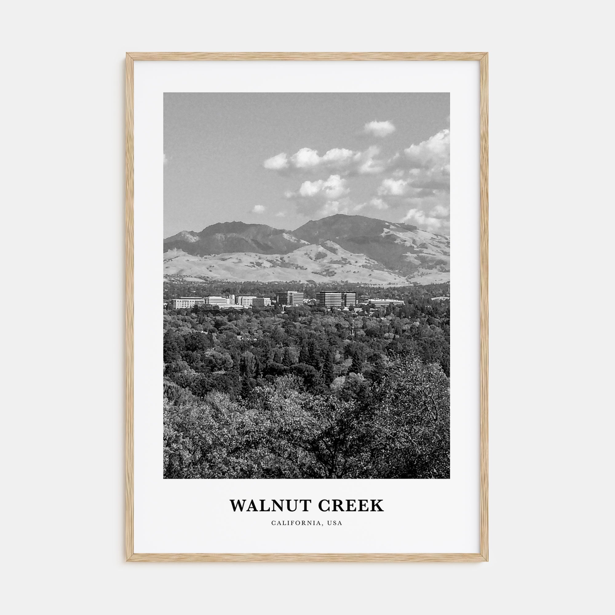 Walnut Creek Portrait B&W Poster