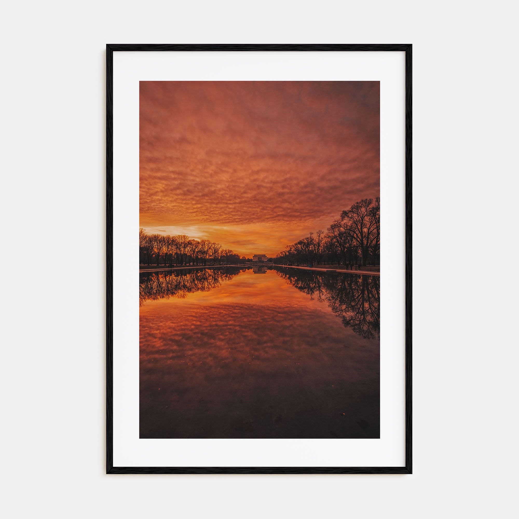 Washington, D.C. Photo Color No 2 Poster