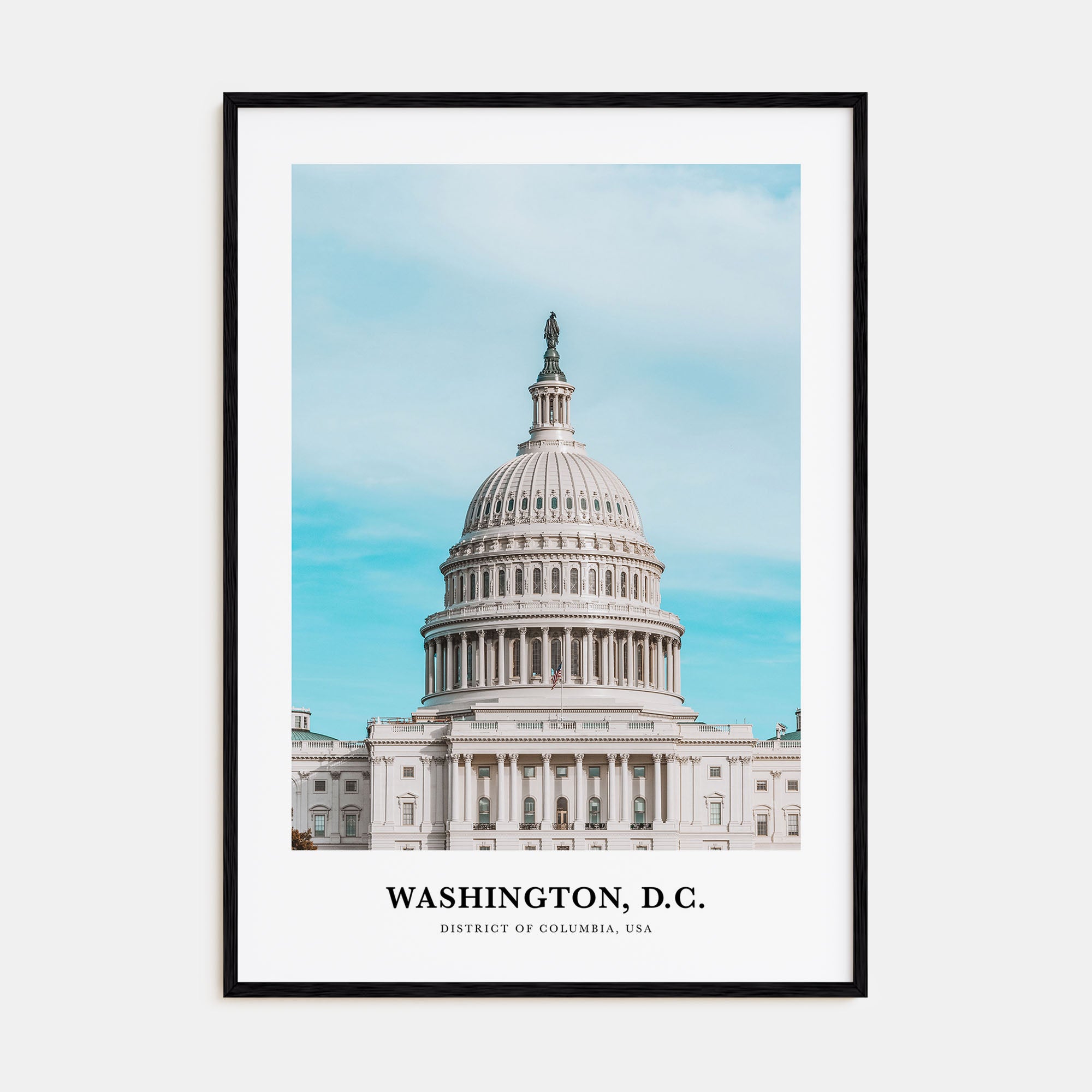 Washington, D.C. Portrait Color No 1 Poster