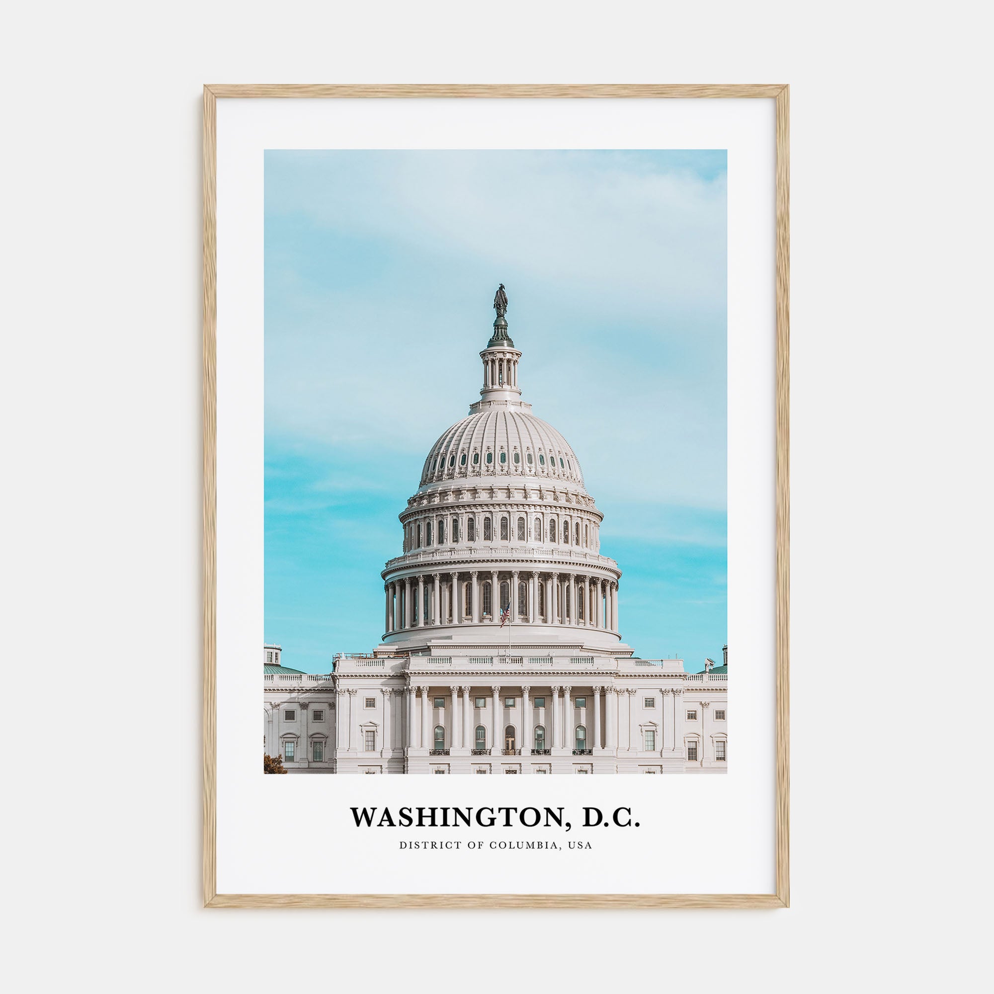 Washington, D.C. Portrait Color No 1 Poster