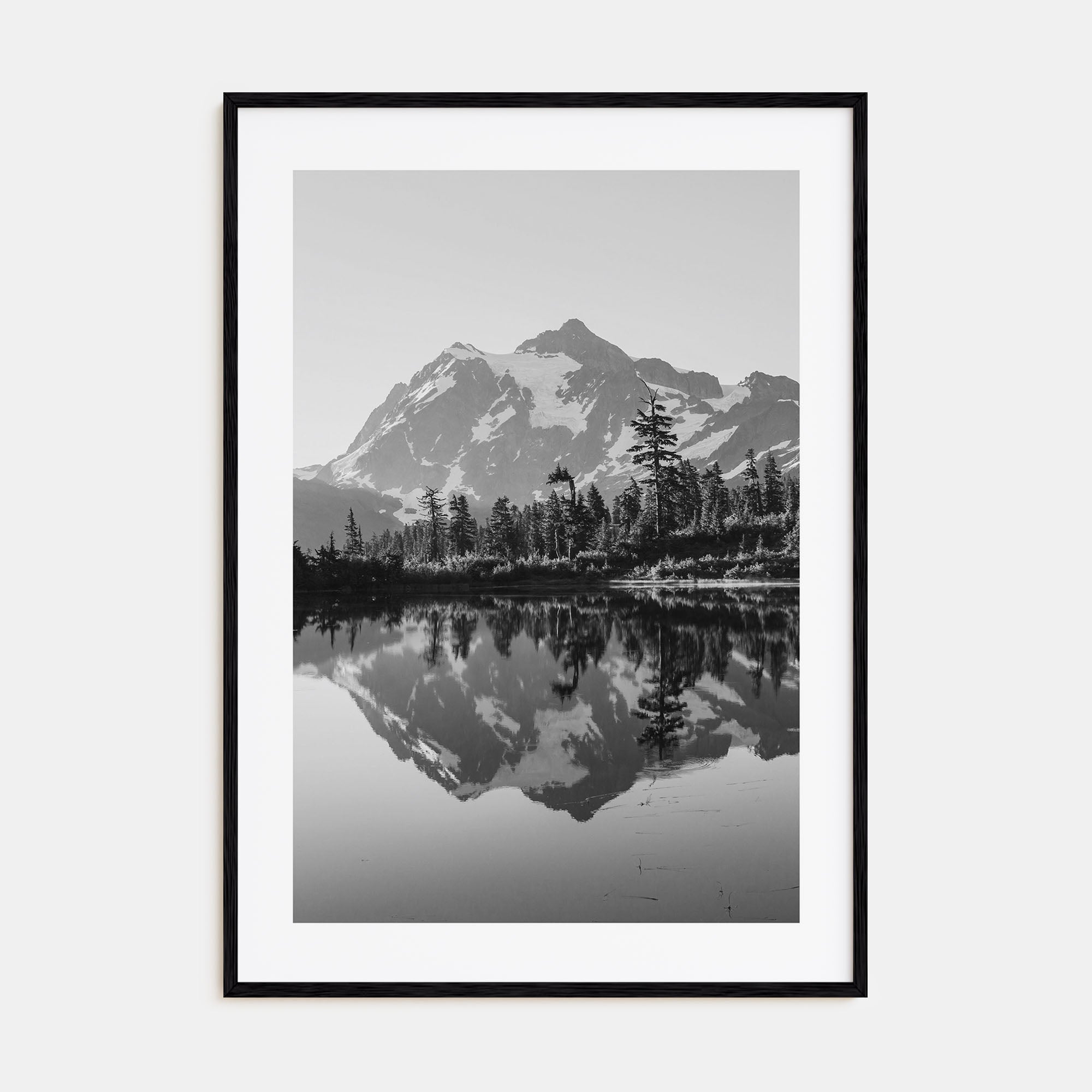 Washington (State) Photo B&W No 1 Poster