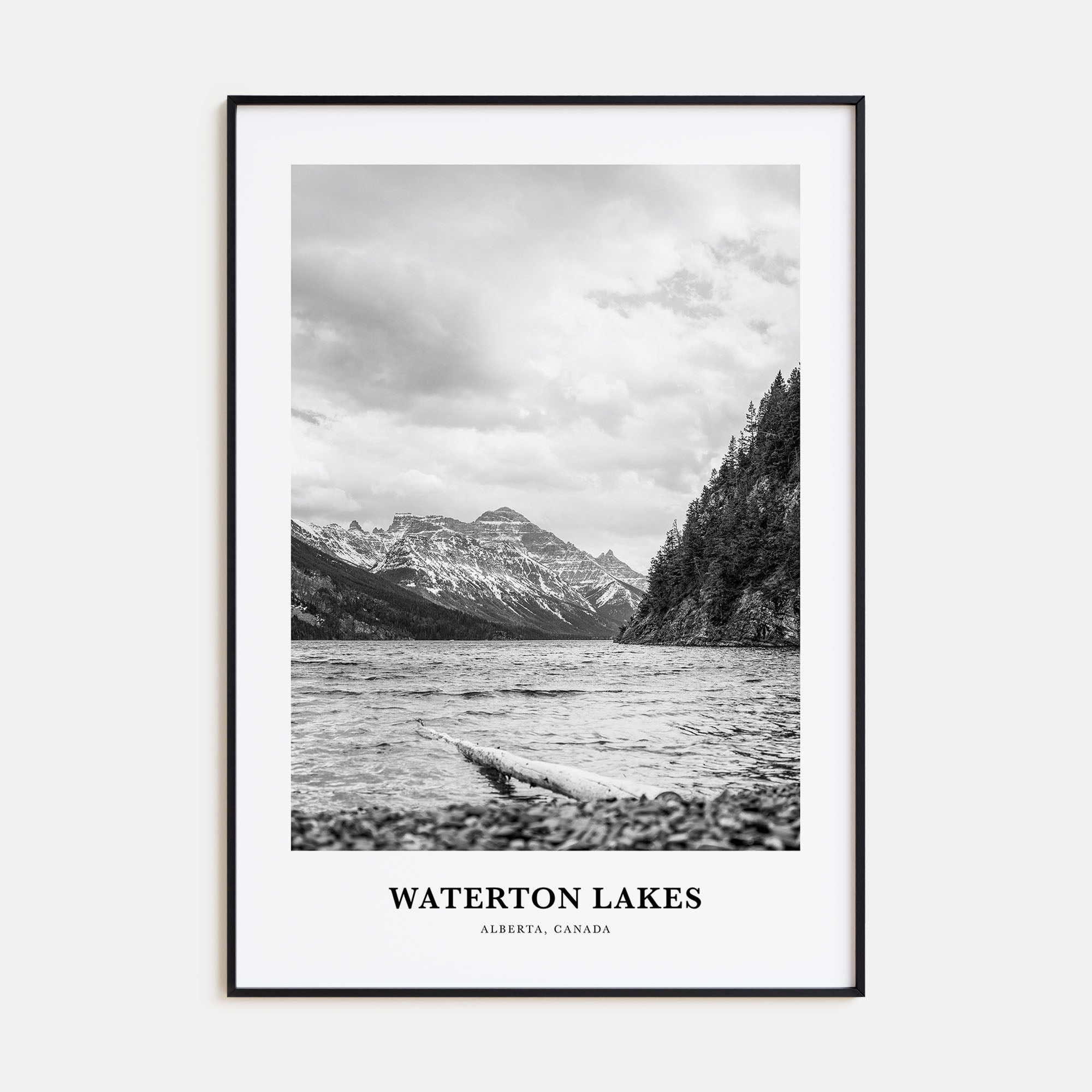 Waterton Lakes National Park Portrait B&W Poster