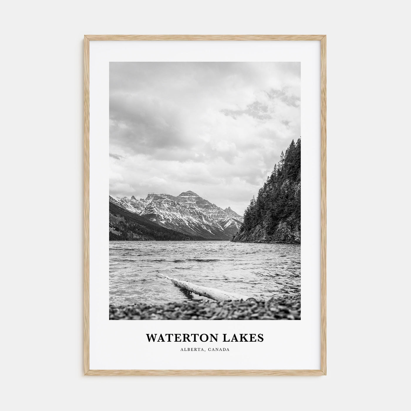 Waterton Lakes National Park Portrait B&W Poster