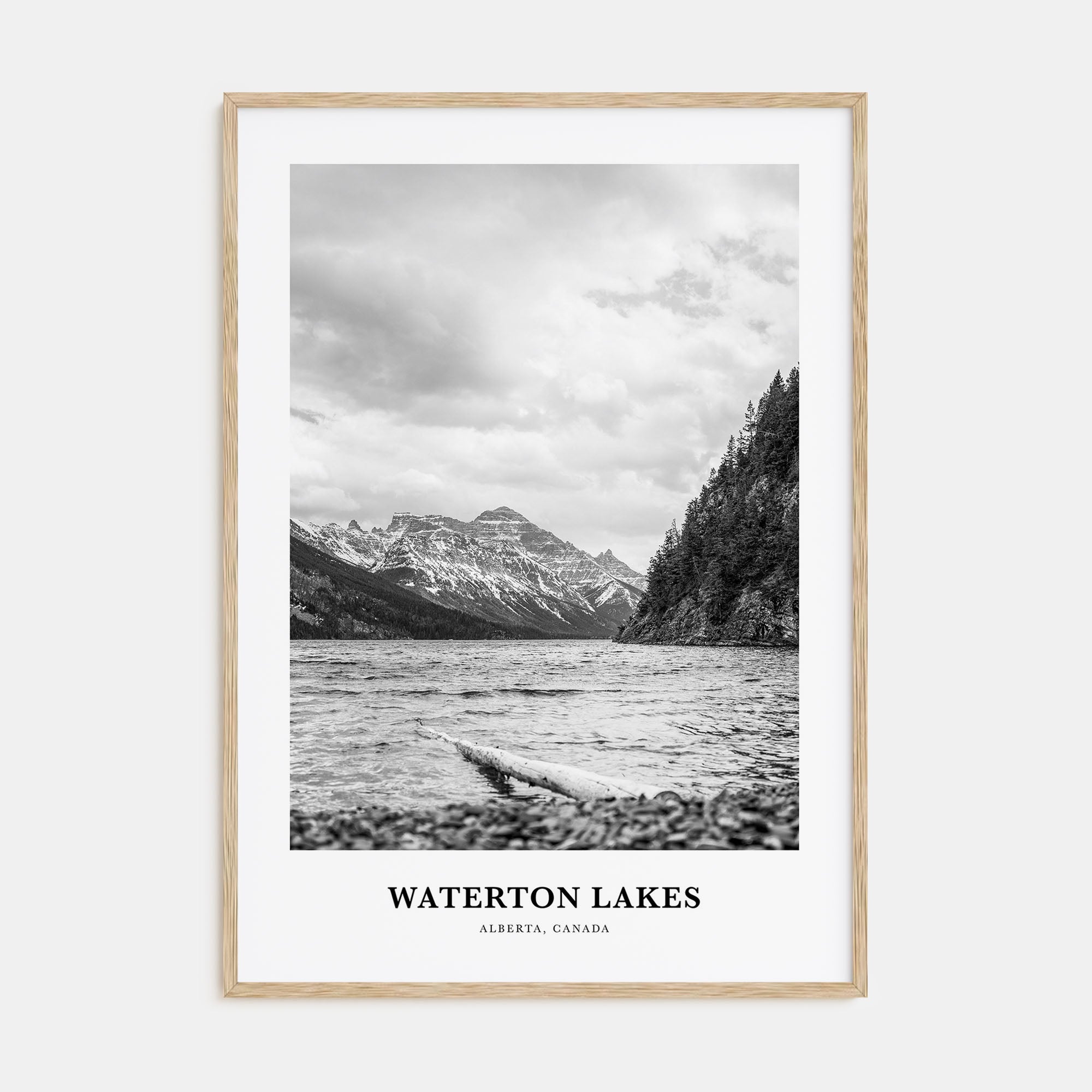 Waterton Lakes National Park Portrait B&W Poster