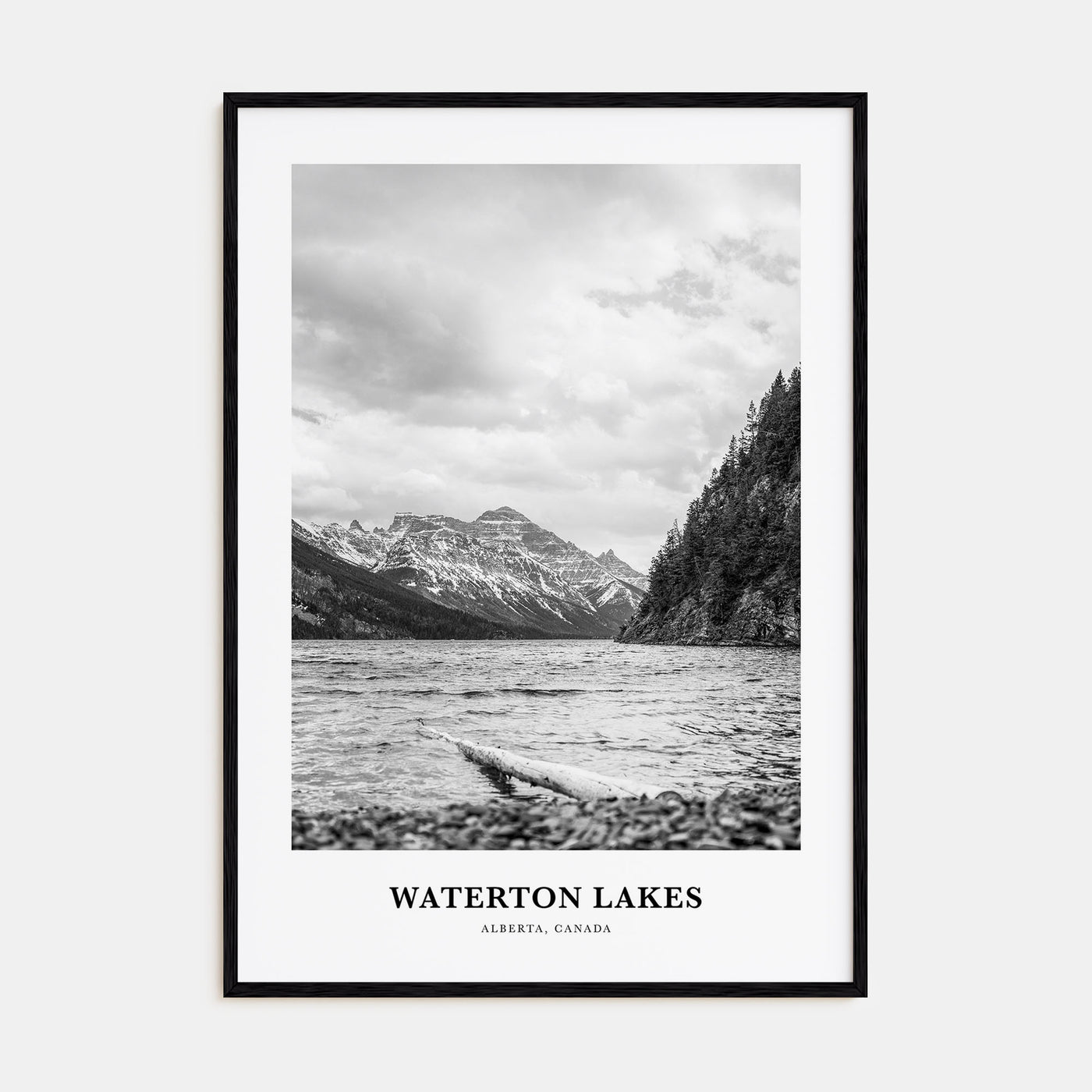 Waterton Lakes National Park Portrait B&W Poster