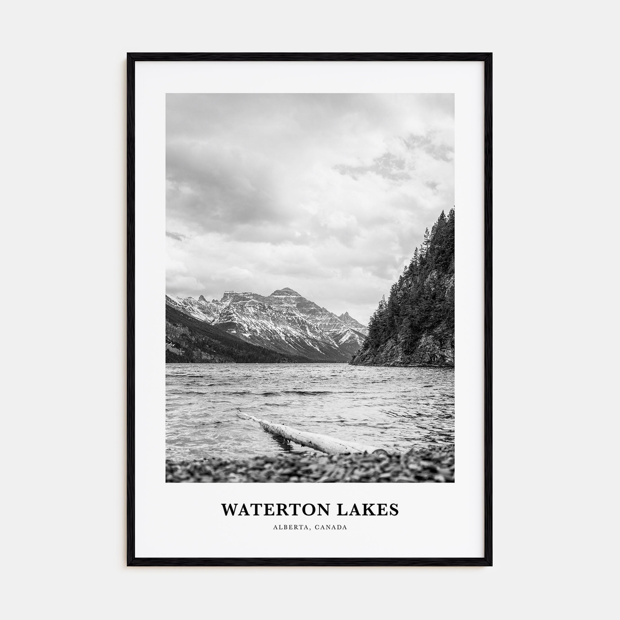 Waterton Lakes National Park Portrait B&W Poster