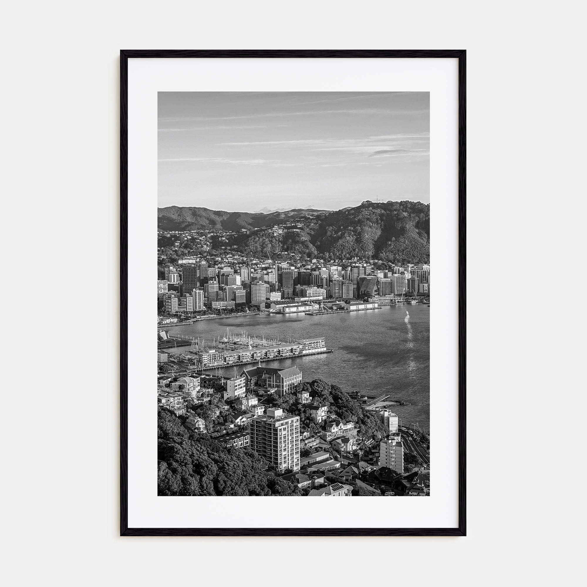 Wellington Photo B&W Poster