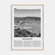 Wellington Travel B&W No 1 Poster