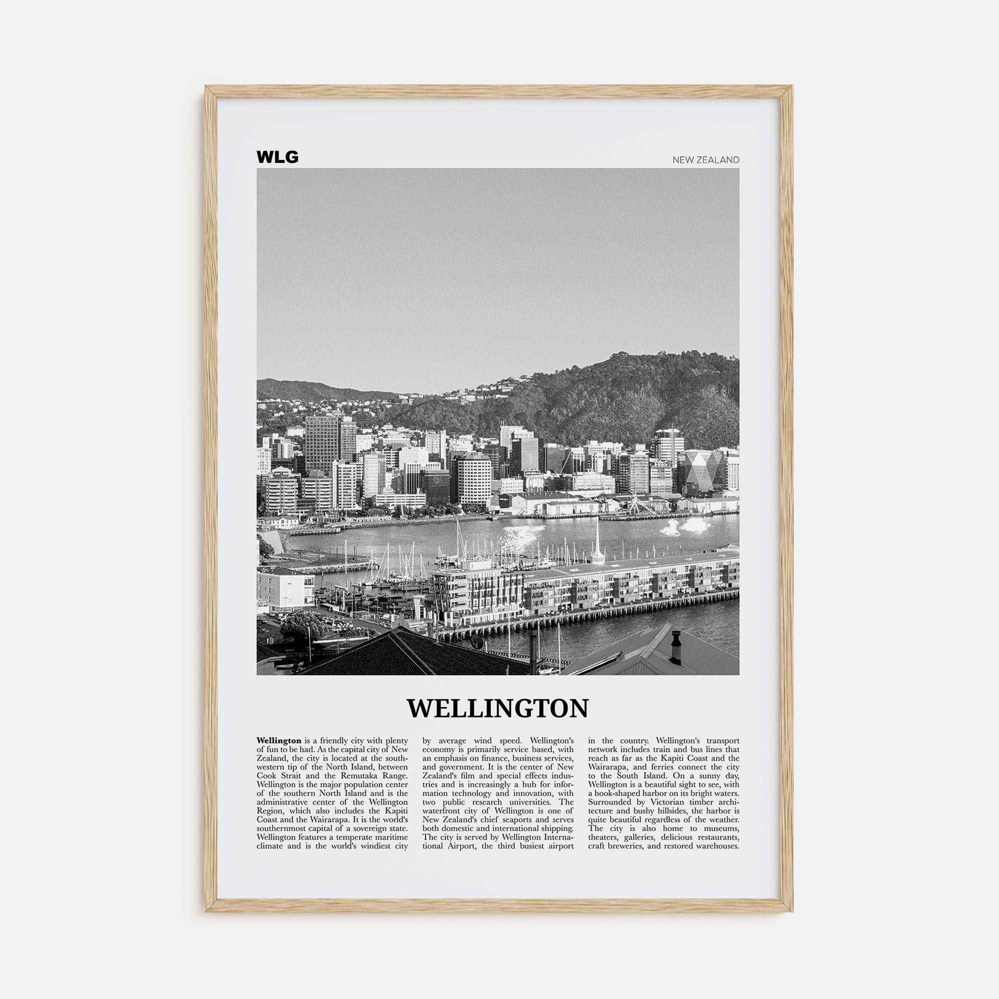 Wellington Travel B&W No 2 Poster