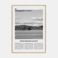 Westchester County Travel B&W Poster