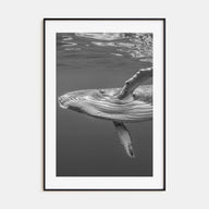 Whale Photo B&W No 1 Poster