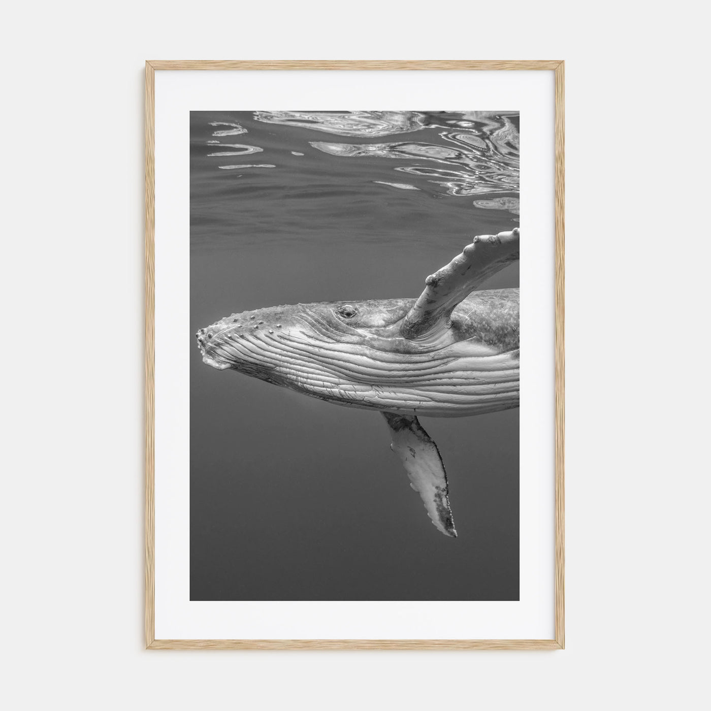 Whale Photo B&W No 1 Poster