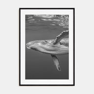 Whale Photo B&W No 1 Poster