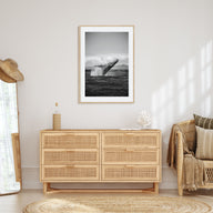 Whale Photo B&W No 2 Poster