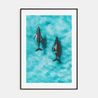 Whale Photo Color No 1 Poster