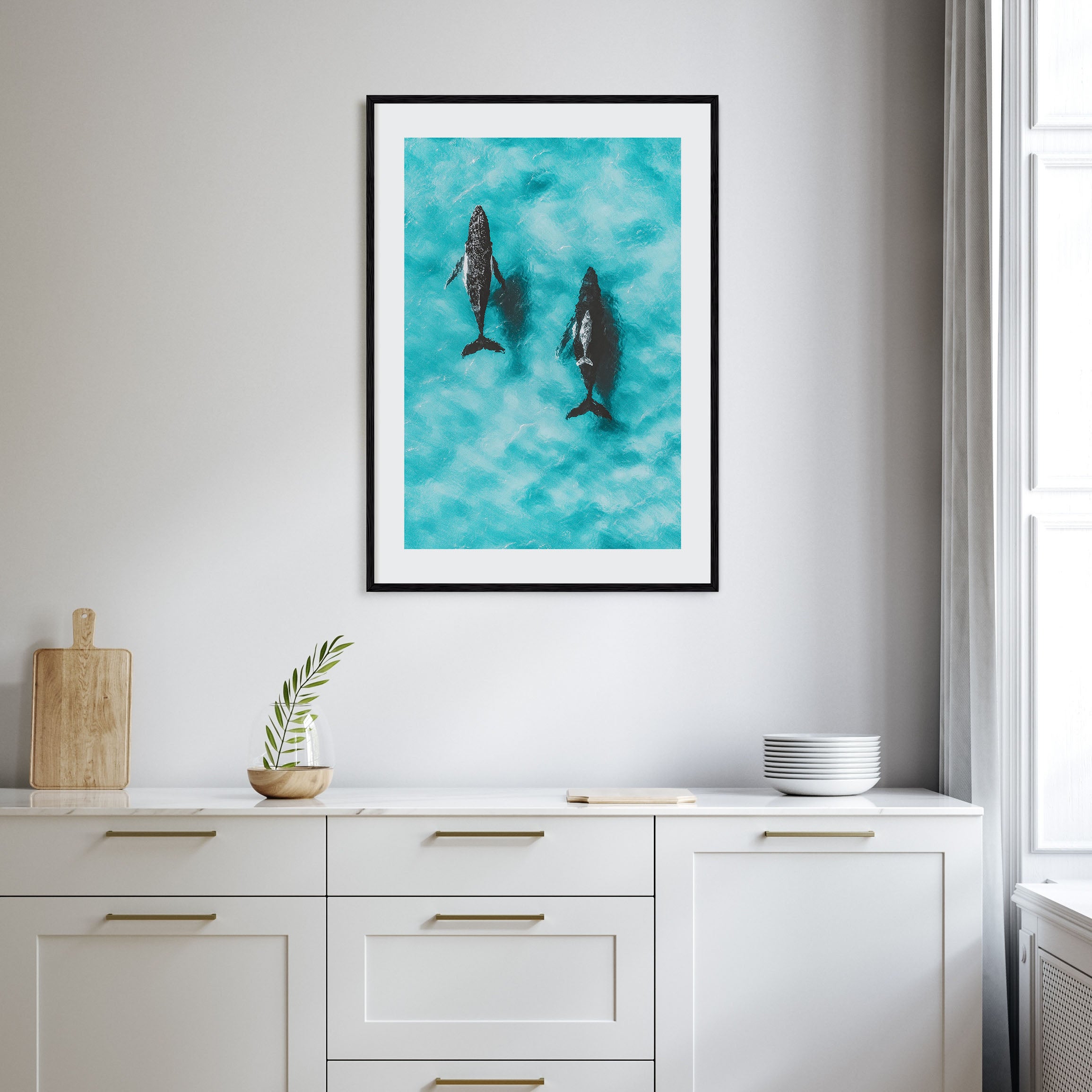 Whale Photo Color No 1 Poster