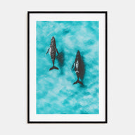 Whale Photo Color No 1 Poster