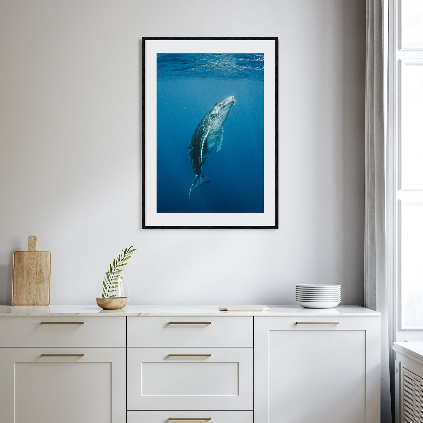 Whale Photo Color No 2 Poster
