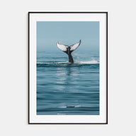 Whale Photo Color No 4 Poster