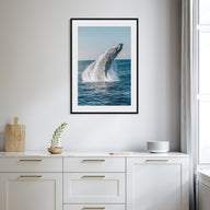Whale Photo Color No 5 Poster