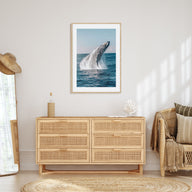 Whale Photo Color No 5 Poster
