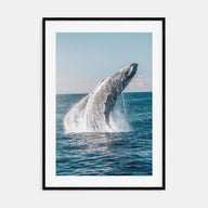 Whale Photo Color No 5 Poster