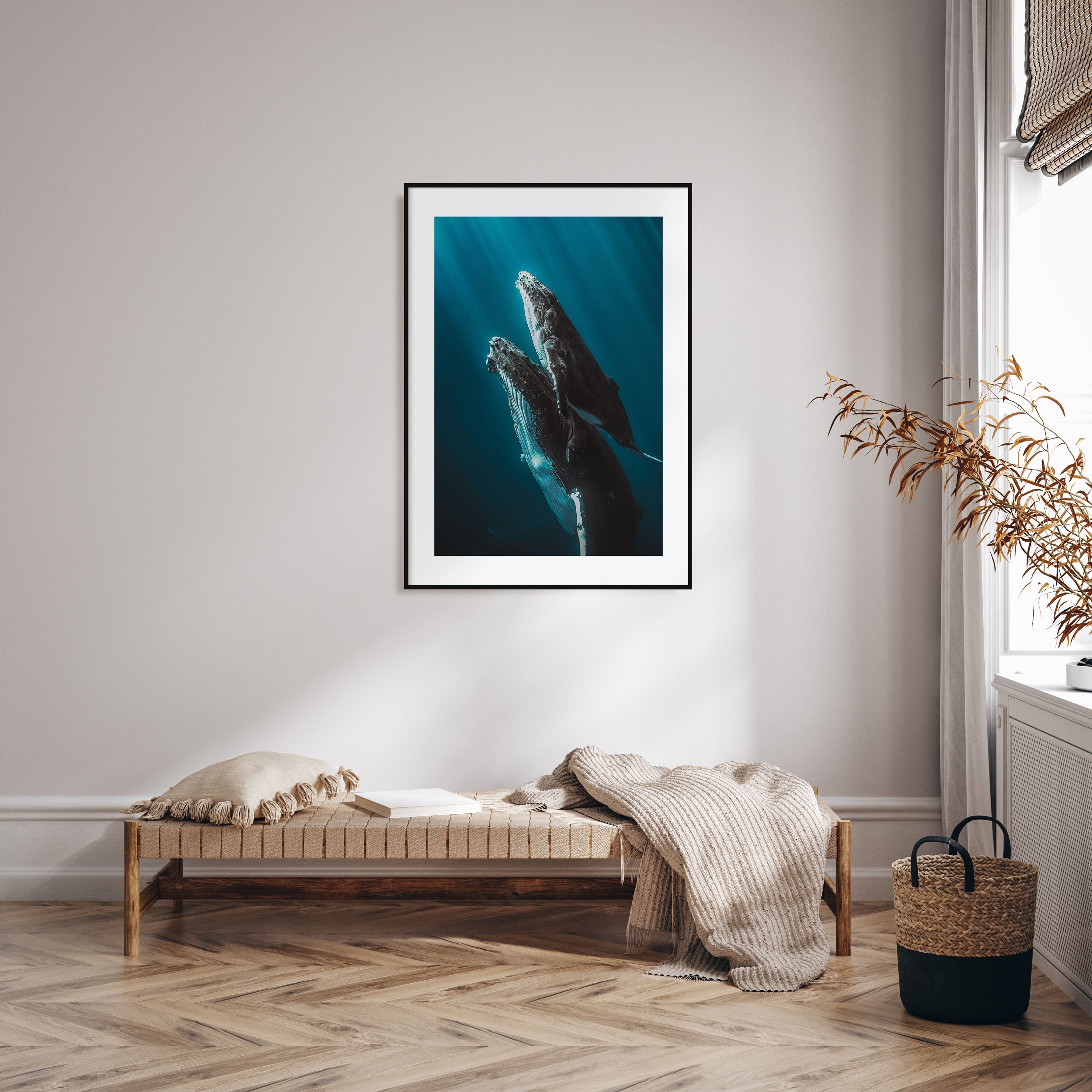 Whale Photo Color No 6 Poster