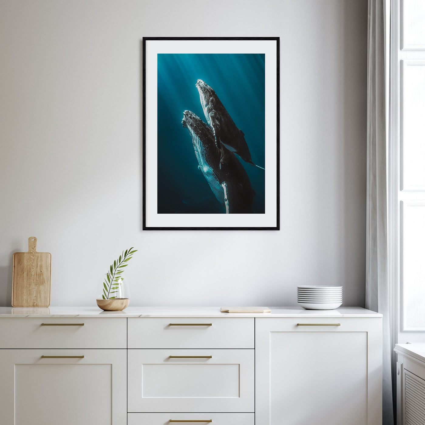 Whale Photo Color No 6 Poster
