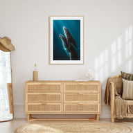 Whale Photo Color No 6 Poster