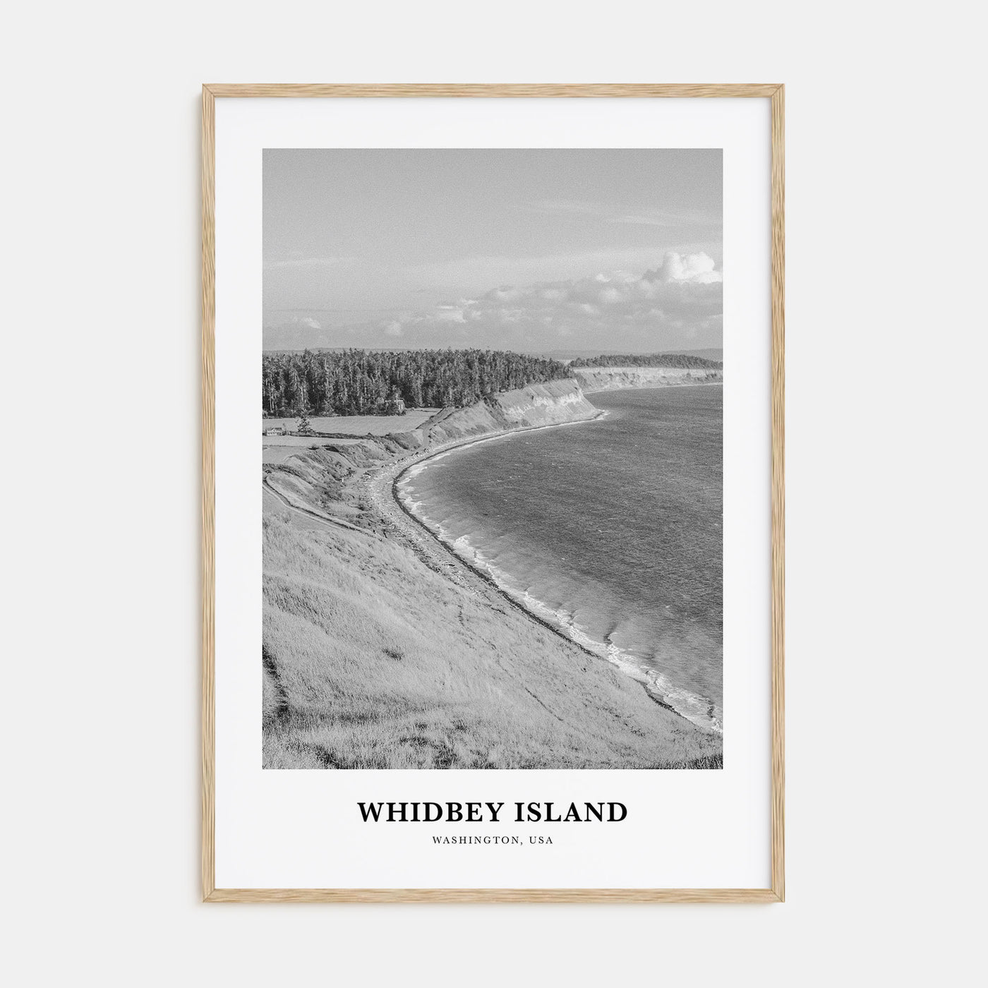 Whidbey Island Portrait B&W Poster