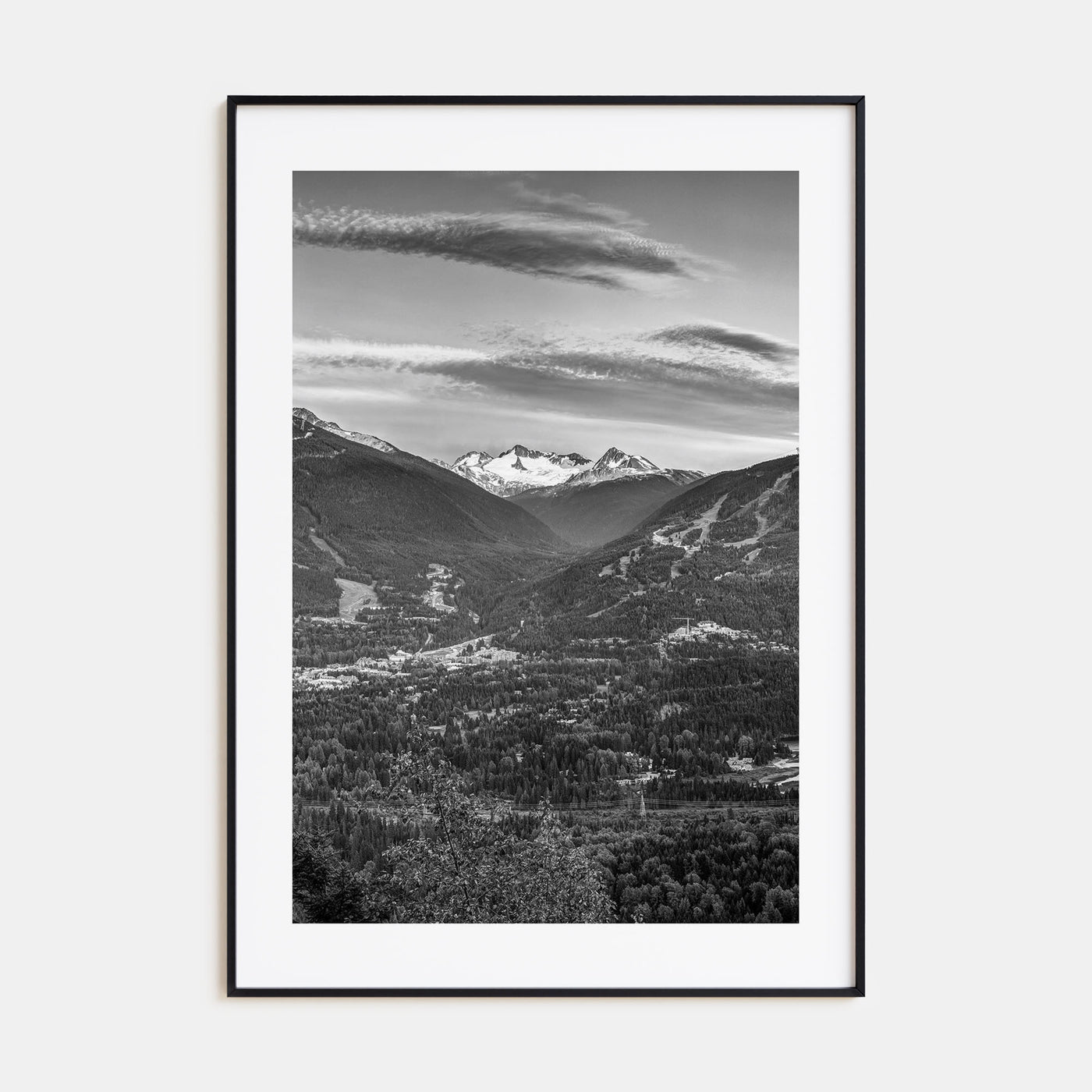 Whistler Photo B&W Poster