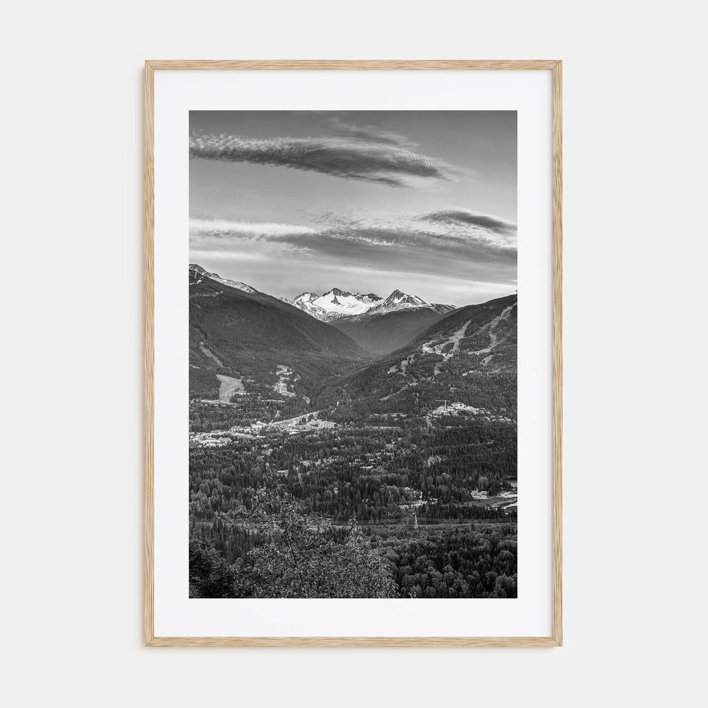 Whistler Photo B&W Poster