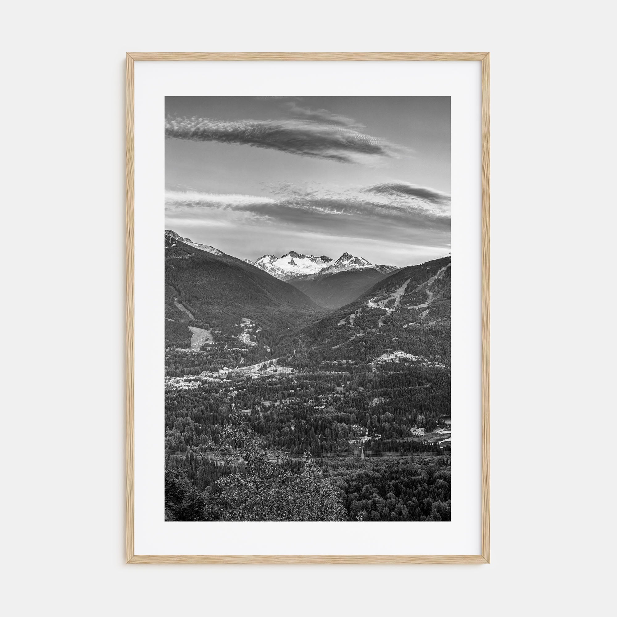 Whistler Photo B&W Poster